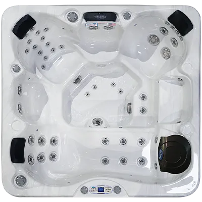 Avalon EC-849L hot tubs for sale in Bowie